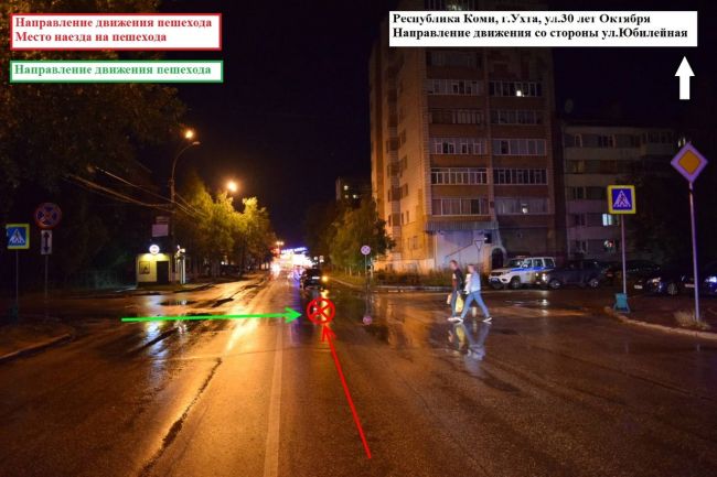 ДТП Ухта наехал на собаку